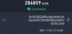 shib.webp