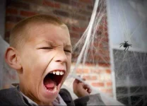 scared-of-spiders.webp