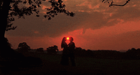 200.gif 200.gif