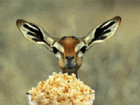 200.gif 200.gif