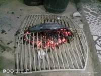 FB_IMG_16362146797137369.webp