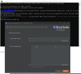 qn9rZLi.webp