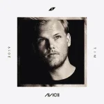 Avicii_-_Tim.png