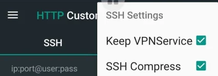 Screenshot_20211107-164812_HTTP Custom.jpg