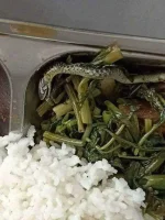 Kangkong-with-hito.webp