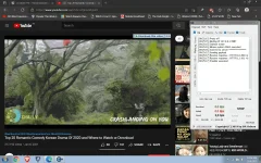 1636302421641.webp