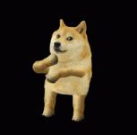 200.gif 200.gif