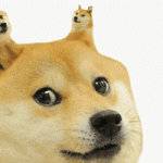 200.gif 200.gif