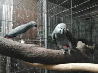 IMG_20210206_141208.webp