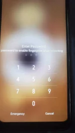 16366020831615088970820053258443.webp