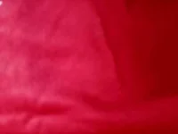 16367749921193867782299585344357.webp