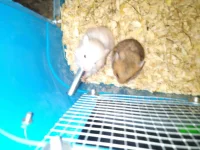 20211112_195423.webp
