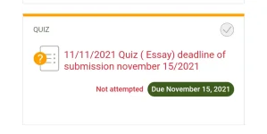 Screenshot_20211114-204421_Chrome.webp