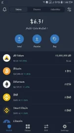 Screenshot_20211115-134422_Trust Wallet.webp