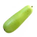 images (9).webp