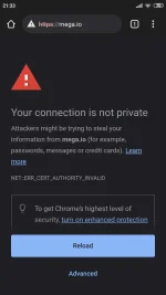 Screenshot_2021-11-15-21-33-51-607_com.android.chrome.webp