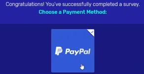 survey-time-instant-payment.png survey-time-instant-payment.png