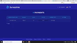 survey 1 paid.png