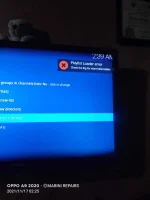 16370871251572355671029071768975.webp