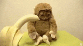 200.gif