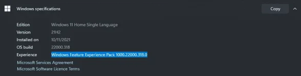1637183482912.webp 1637183482912.webp
