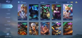 11.webp