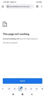 Screenshot_2021-11-19-09-53-28-677_com.android.chrome.webp
