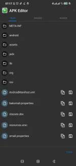 Screenshot_2021-11-20-07-17-09-947_com.gmail.heagoo.apkeditor.pro.jpg