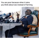 1637481195641.webp