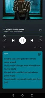 Screenshot_20211122_172306_com.spotify.music.webp Screenshot_20211122_172306_com.spotify.music.webp