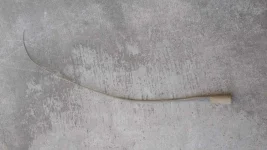 stingrays-tail-buntot-pagi.webp
