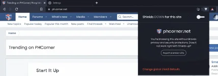 bra2.webp