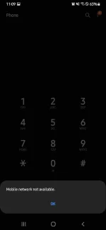 Screenshot_20211122-230933_Phone.webp
