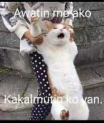 1637655877457.webp