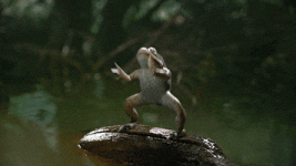 200.gif 200.gif
