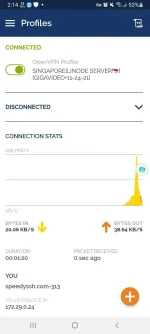 Screenshot_20211125-021431_OpenVPN Connect.webp