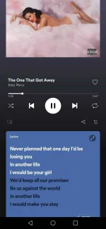 Screenshot_20211125_204412_com.spotify.music.webp Screenshot_20211125_204412_com.spotify.music.webp