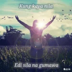 kaya.webp