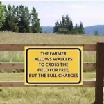 bull.webp