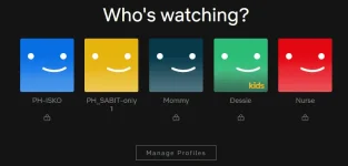 Netfilx1.PNG