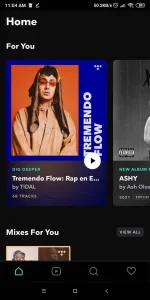 Screenshot_2021-11-29-11-04-41-846_com.aspiro.tidal.webp