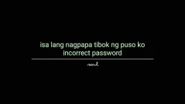 1638264867667.webp