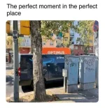 1638285934951.webp