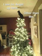 tree.webp