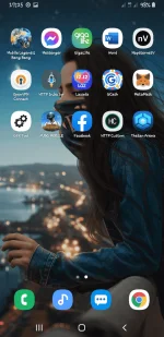 Screenshot_20211203-172558_One UI Home.webp