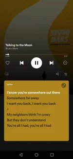 Screenshot_20211204_035240_com.spotify.musid.webp
