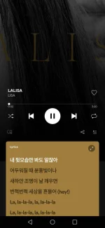 Screenshot_20211204_102052_com.spotify.music.webp Screenshot_20211204_102052_com.spotify.music.webp