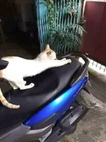FB_IMG_16387882758931418.webp