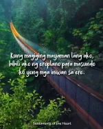 1638801520561.webp
