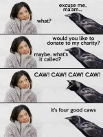 caws.jpg
